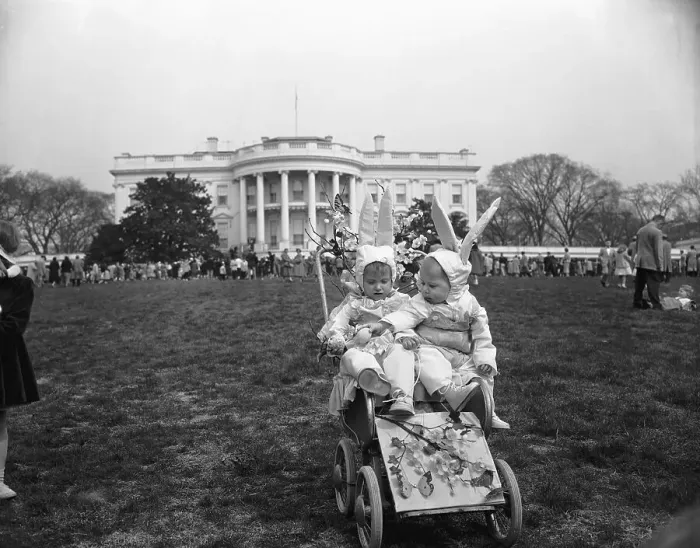 Framed Print : White House Easter Monday Roll Contest Framed Print : White House Easter Monday Roll Contest
