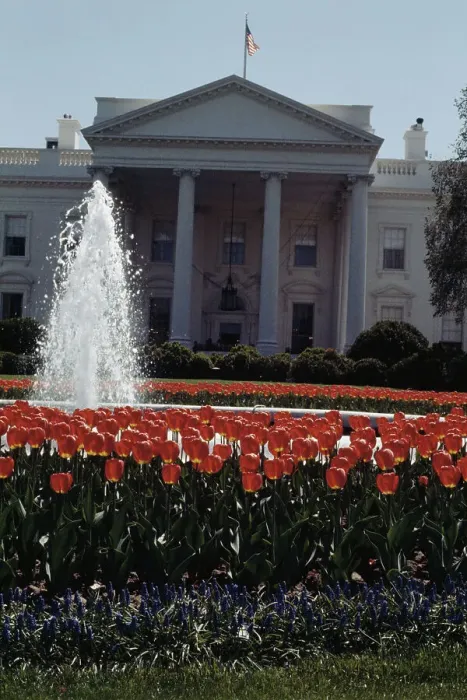 Framed Print : White House North Portico Framed Print : White House North Portico
