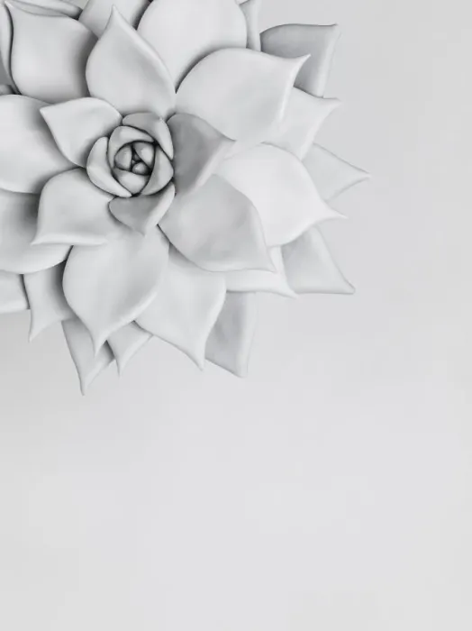 Framed Print : White nature Framed Print : White nature