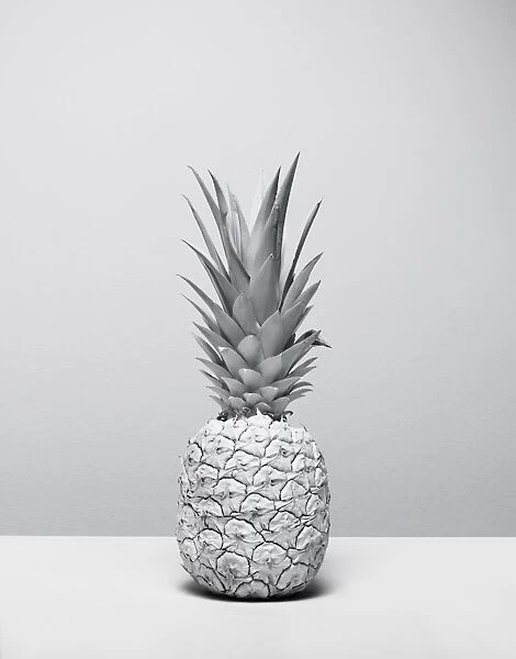 White Nature Pineapple Series 1