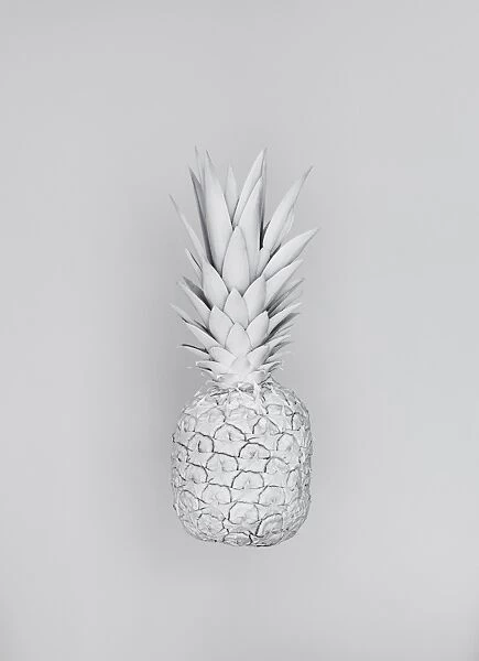 White Nature Pineapple Series 2