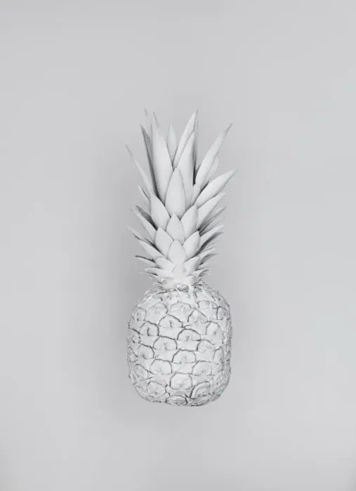 Framed Print : White Nature Pineapple Series 2 Framed Print : White Nature Pineapple Series 2