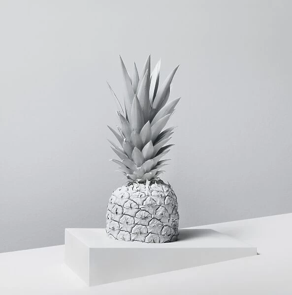 White Nature Pineapple Series 3