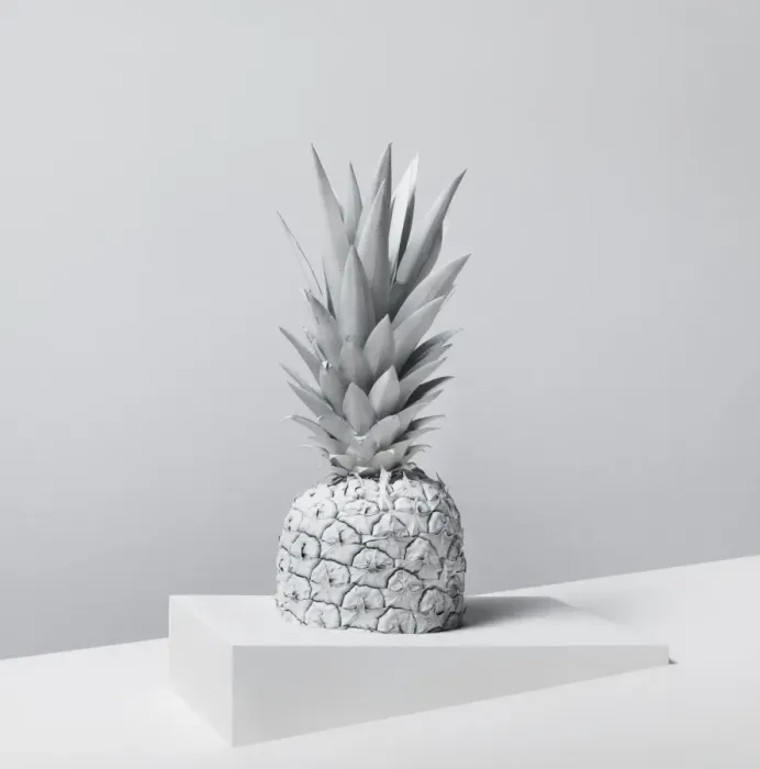 Framed Print : White Nature Pineapple Series 3 Framed Print : White Nature Pineapple Series 3