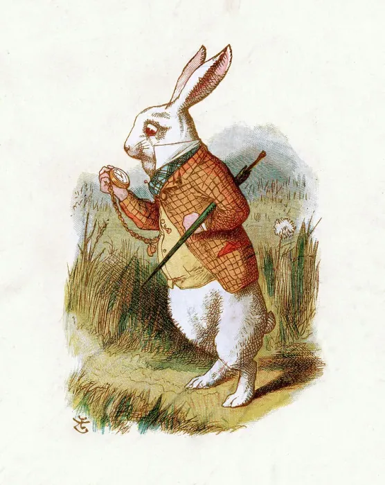 Framed Print : The White Rabbit - Alice in Wonderland Framed Print : The White Rabbit - Alice in Wonderland
