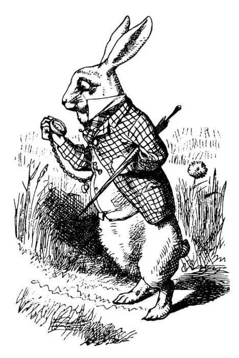 Framed Print : White Rabbit looking at watch illustration, (Alices Adventures in Wonderland) Framed Print : White Rabbit looking at watch illustration, (Alices Adventures in Wonderland)