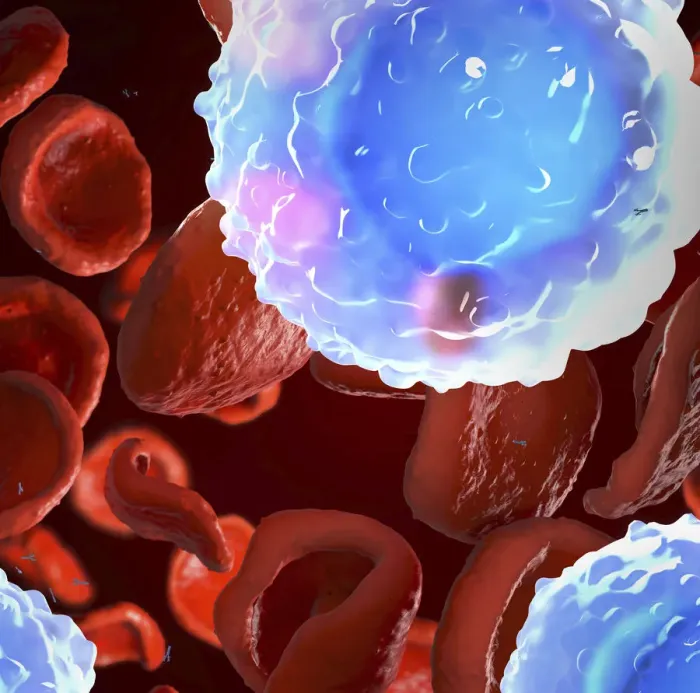 Framed Print : White and red blood cells, illustration Framed Print : White and red blood cells, illustration