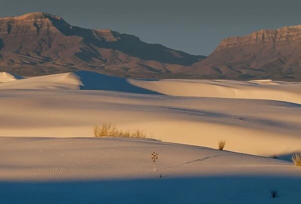 White Sands National Monument scenic