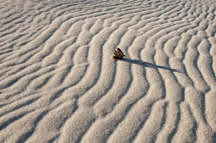 Framed Print : White Sands National Monument scenic
