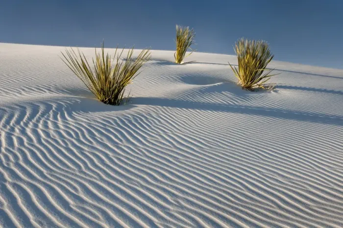 Framed Print : White Sands National Monument scenic Framed Print : White Sands National Monument scenic