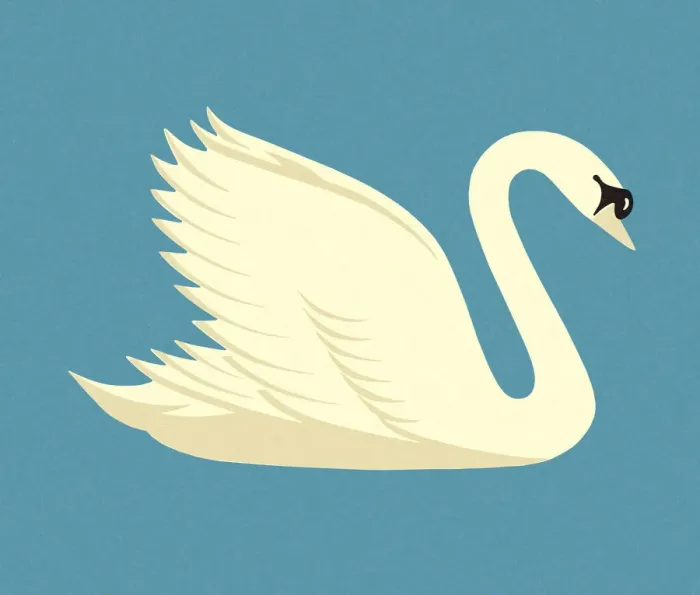Framed Print : White Swan Framed Print : White Swan