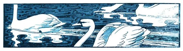 Framed Print : White swan swimming in lake art nouveau 1896 Framed Print : White swan swimming in lake art nouveau 1896