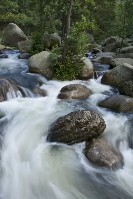 Framed Print : White-water river, Harz, Saxony-Anhalt, Germany, Europe