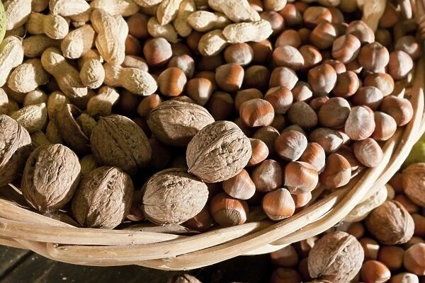 Wicker basket with mixed nuts, Walnuts -Juglans regia-, Peanuts -Arachis hypogaea- and Hazelnuts -Corylus avellana-