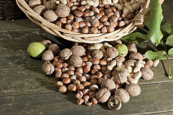 Wicker basket with mixed nuts, Walnuts -Juglans regia-, Peanuts -Arachis hypogaea- and Hazelnuts -Corylus avellana- on a rustic wooden table