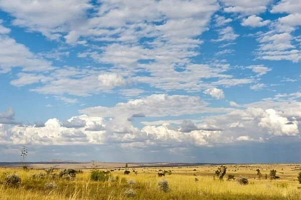 Wide grass landscape, clouds, Isalo National Park, at Ranohira, Madagascar