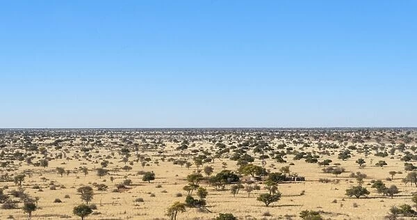 Wide landscape with trees, Kalahari, Namibia