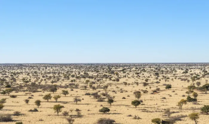 Framed Print : Wide landscape with trees, Kalahari, Namibia Framed Print : Wide landscape with trees, Kalahari, Namibia