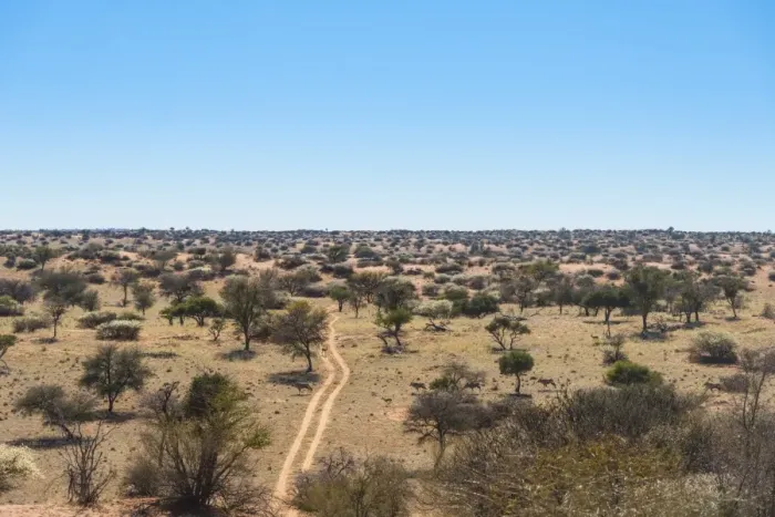 Framed Print : Wide landscape with trees, Kalahari, Namibia Framed Print : Wide landscape with trees, Kalahari, Namibia