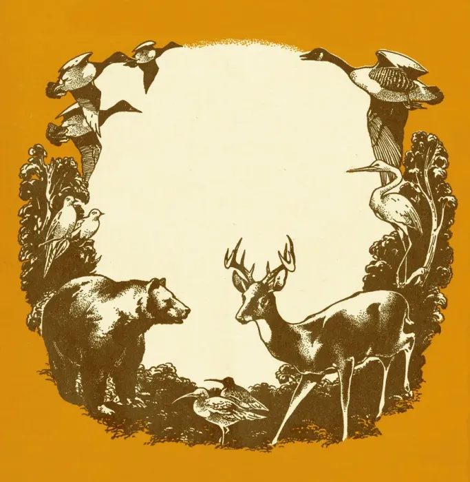 Framed Print : Wild Animal Border Framed Print : Wild Animal Border