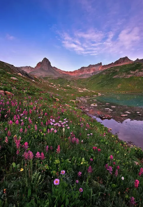 Framed Print : Wild Flowers at Ice Lake Basin Framed Print : Wild Flowers at Ice Lake Basin