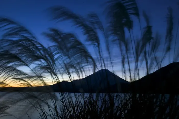 Framed Print : Wild grasses and Mount Fuji, Fuji-Hakone-Izu National Park, Honshu, Japan Framed Print : Wild grasses and Mount Fuji, Fuji-Hakone-Izu National Park, Honshu, Japan