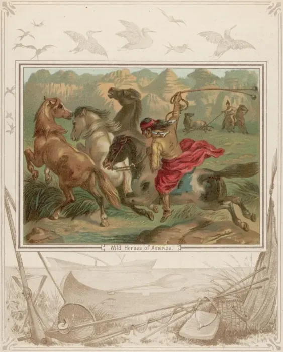 Framed Print : Wild Horses Framed Print : Wild Horses