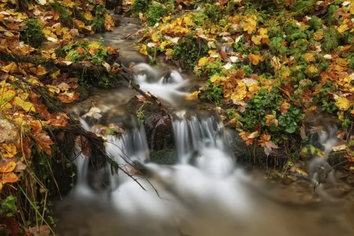 Framed Print : Wildbach stream in autumn, Niklasdorf, Leoben, Styria, Austria, Europe Framed Print : Wildbach stream in autumn, Niklasdorf, Leoben, Styria, Austria, Europe