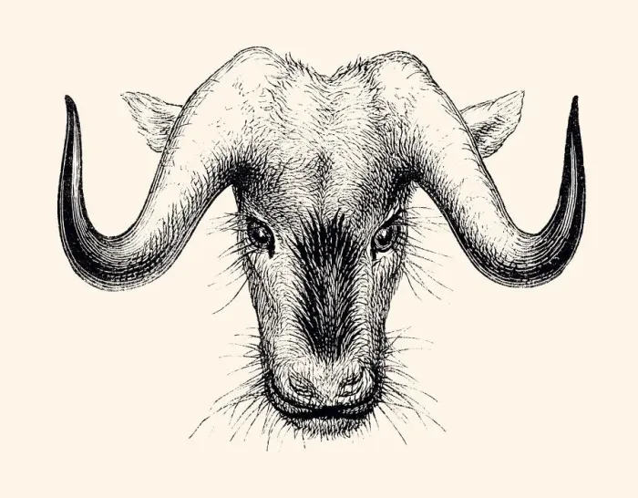 Framed Print : THE WILDEBEEST (XXXL)