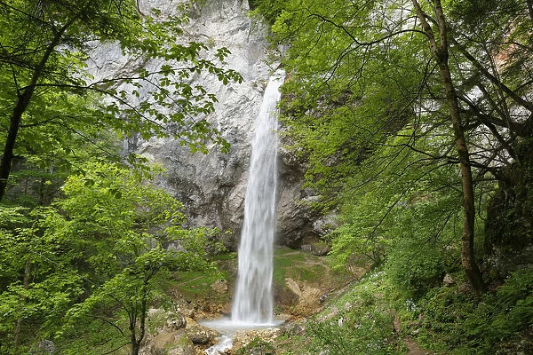 Wildenstein waterfall at Obir, Obir-Massif, near Gallizien, Carinthia, Austria