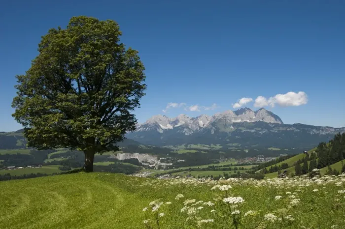 Framed Print : Wilder Kaiser mountain ridge, Tyrol, Austria, Europe