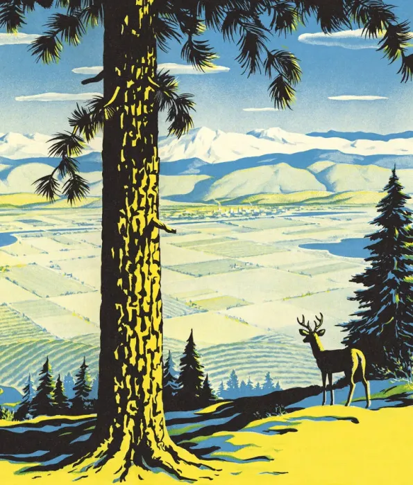 Framed Print : Wilderness Scene Framed Print : Wilderness Scene