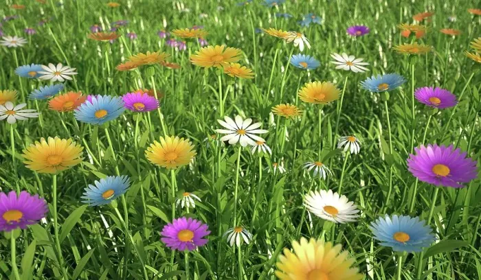 Framed Print : Wildflower meadow, artwork Framed Print : Wildflower meadow, artwork