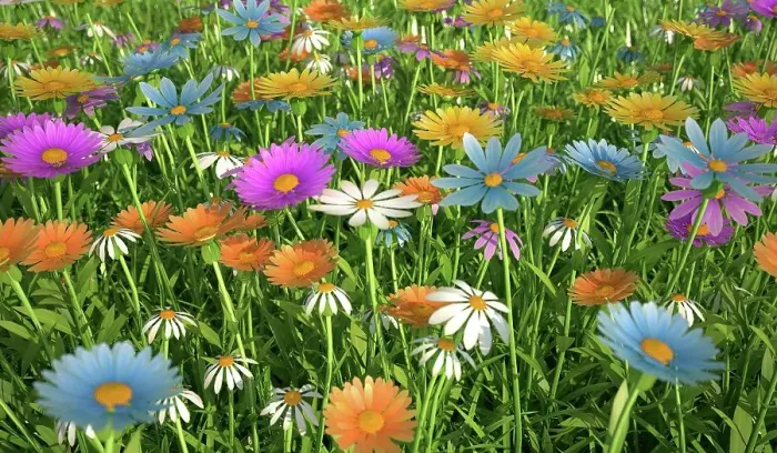 Framed Print : Wildflower meadow, artwork Framed Print : Wildflower meadow, artwork