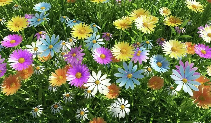 Framed Print : Wildflower meadow, artwork Framed Print : Wildflower meadow, artwork
