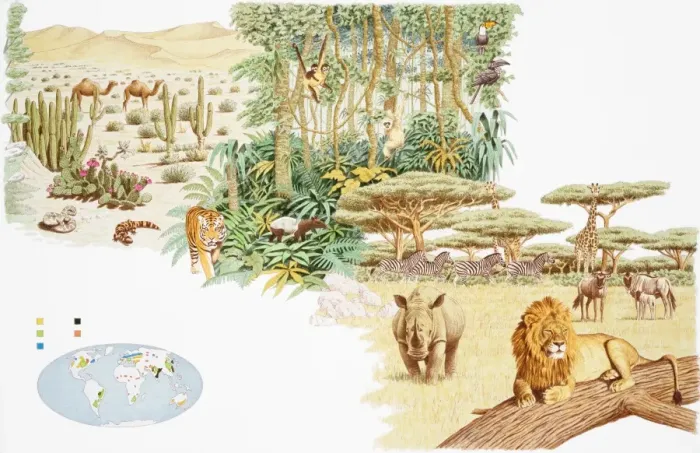Framed Print : Wildlife in natural habitats