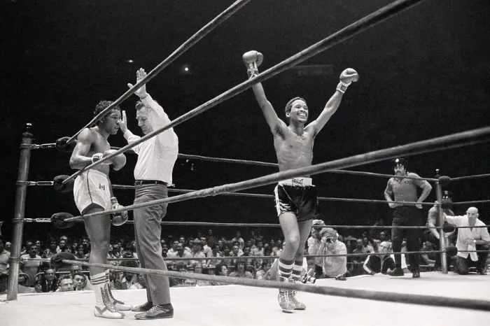 Framed Print : Wilfred Benitez with Arms Raised in Ring Framed Print : Wilfred Benitez with Arms Raised in Ring