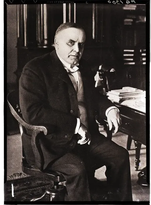 Framed Print : William Mckinley Seated In A Chair Framed Print : William Mckinley Seated In A Chair