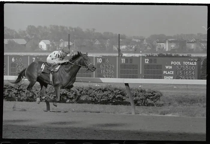 Framed Print : Willie Shoemaker on Damascus Winning Belmont Stakes Framed Print : Willie Shoemaker on Damascus Winning Belmont Stakes