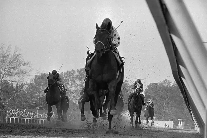 Framed Print : Willie Shoemaker on Damascus Winning Preakness Framed Print : Willie Shoemaker on Damascus Winning Preakness