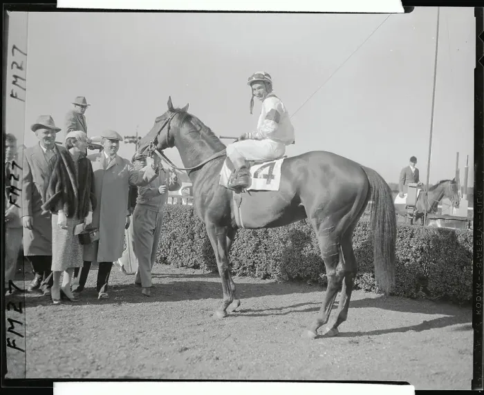 Framed Print : Willie Shoemaker on Gallant Man in Winner's Circle Framed Print : Willie Shoemaker on Gallant Man in Winner's Circle