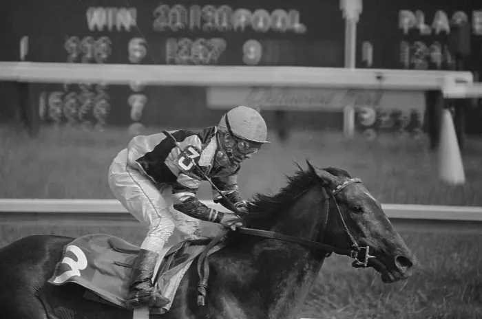 Framed Print : Willie Shoemaker Racing on Spectacular Bid
