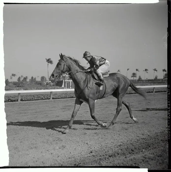 Framed Print : Willie Shoemaker Racing on Swaps