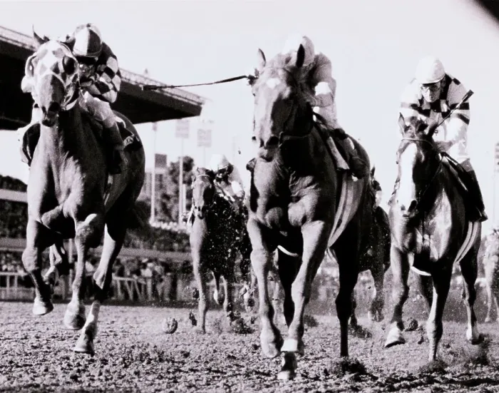 Framed Print : Willie Shoemaker Riding Ferdinand in Breeders Cup Classic Framed Print : Willie Shoemaker Riding Ferdinand in Breeders Cup Classic