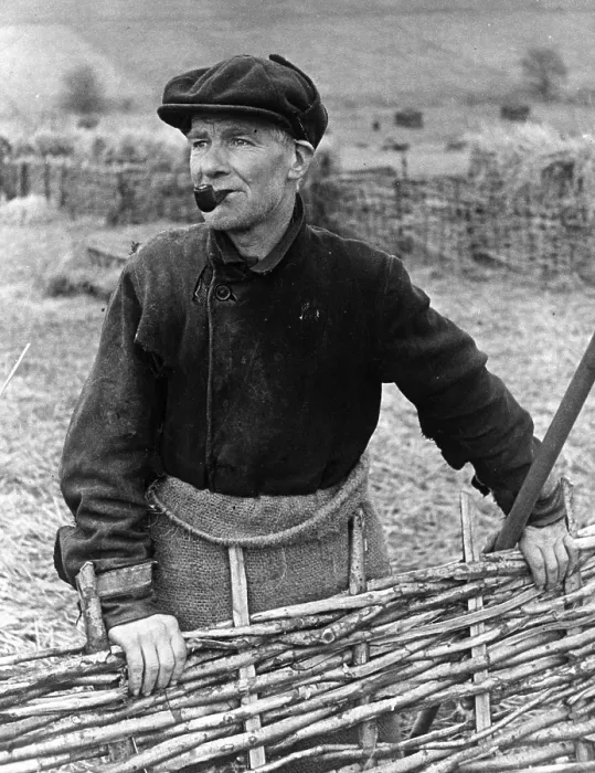 Framed Print : Wiltshire Shepherd