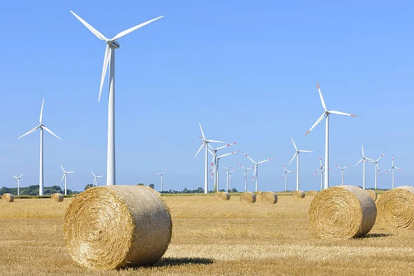 Wind farm near Wesselburen, North Frisia, Schleswig-Holstein, northern Germany, Germany, Europe