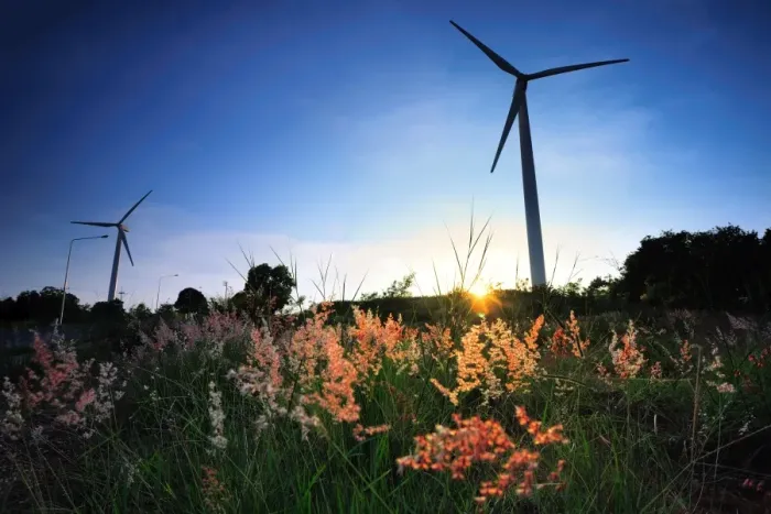 Framed Print : Wind turbines and the flower foreground Framed Print : Wind turbines and the flower foreground