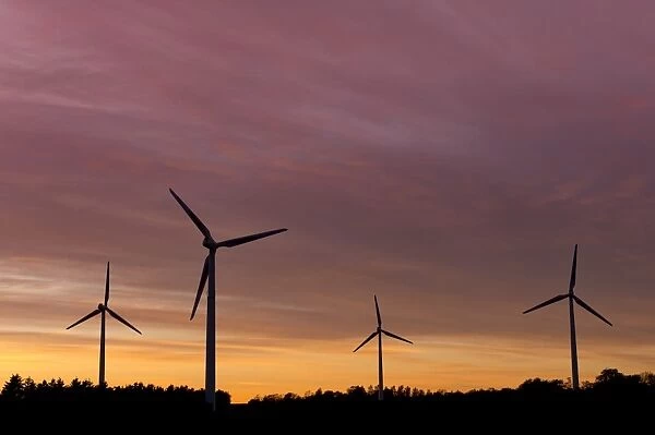 Wind turbines at sunset, Aalborg, Jutland, Denmark