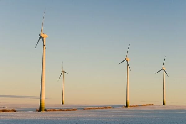 Wind turbines in winter at sunrise on a snowy field, Saxony-Anhalt, Germany, Europe