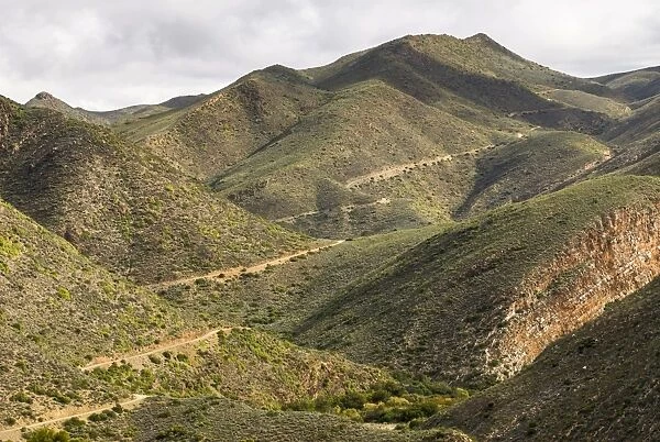 Winding road, serpentines, gravel road in Gamkaskloof or Die Hel Valley, Swartberg, Western Cape, South Africa